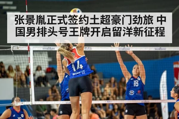 volleyball match arena
