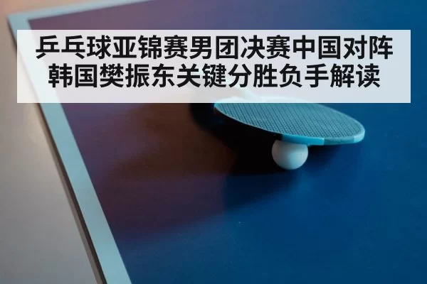 table tennis paddle and ball close up